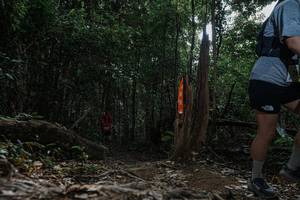 BIB: 
                            <button type="button" onclick="openModal(25800750)" class="btn btn-primary btn-sm float-right btn-popup" data-toggle="modal" data-target=".modal-high-quality">
                        <i class="fas fa-shopping-cart"></i> Add to Cart
                    </button>
                                            <button type="button" onclick="isThisMe(25800750, true)" class="btn btn-success btn-sm float-right btn-popup btn-isme hidden" data-toggle="tooltip" data-placement="bottom" title="นี่คือรูปของคุณใช่ไหม คลิกที่นี่เพื่อเอาเข้าอัลบั้ม">
                        <i class="fas fa-plus"></i> Add to album
                    </button>
                    <button type="button" onclick="isThisMe(25800750, false)" class="btn btn-warning btn-sm float-right btn-popup btn-isnotme hidden">
                        <i class="fas fa-ban"></i> Remove from album
                    </button>